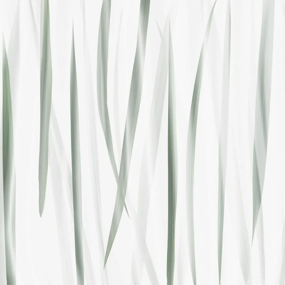 Rimura – Wallpaper Morning Light 3ds Max