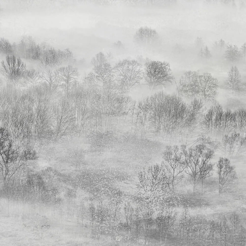 Rimura – Wallpaper Nebula 3ds Max