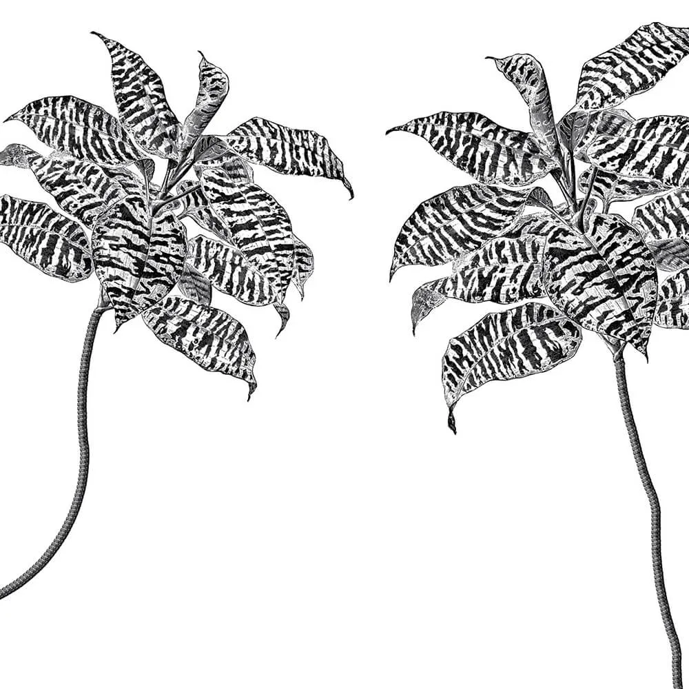 Rimura – Wallpaper Oasis 3ds Max