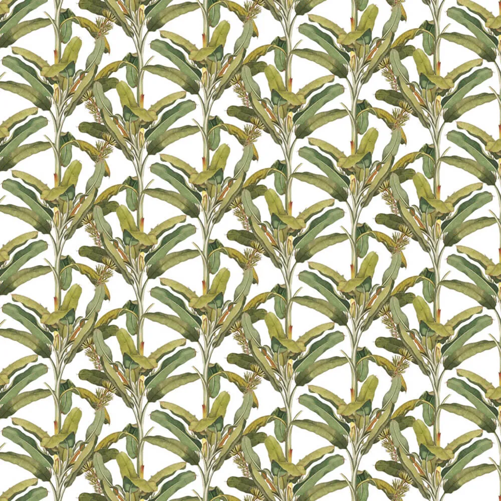 Rimura – Wallpaper Palmizio 3ds Max