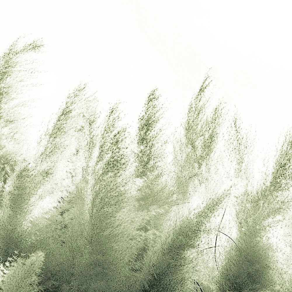 Rimura – Wallpaper Pampas 3ds Max
