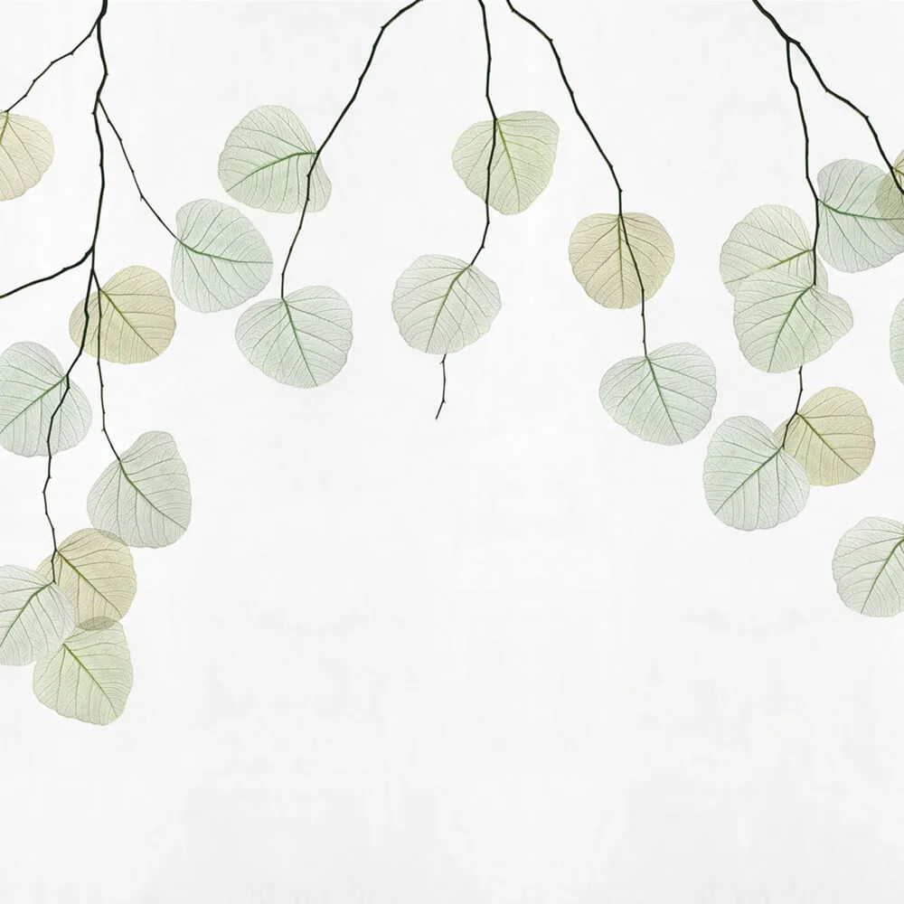 Rimura – Wallpaper Skeleton leaf 3ds Max