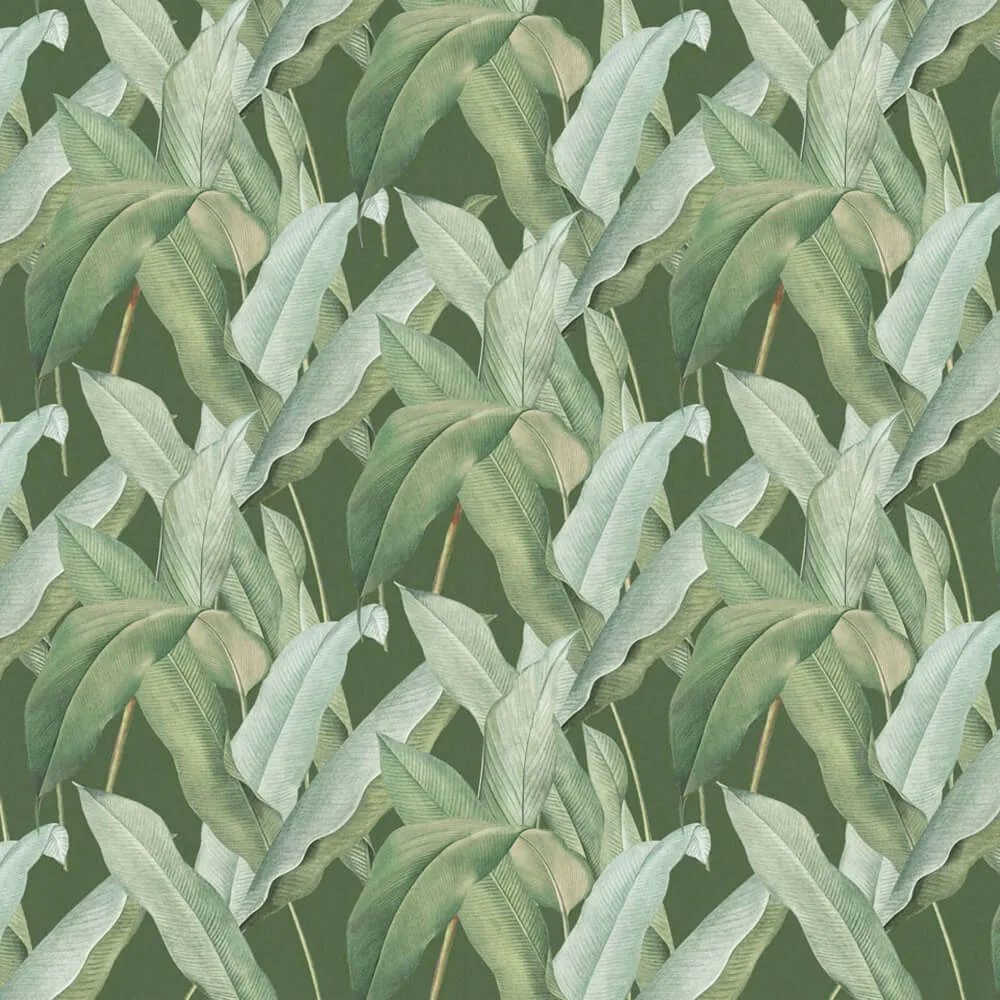 Rimura – Wallpaper Sundarbans 3ds Max