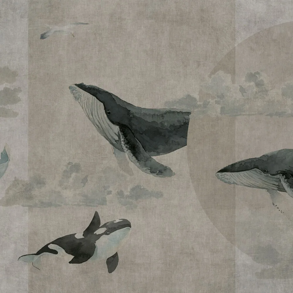 Rimura – Wallpaper Whales 3ds Max