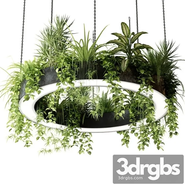 Ring lamp planter with plants