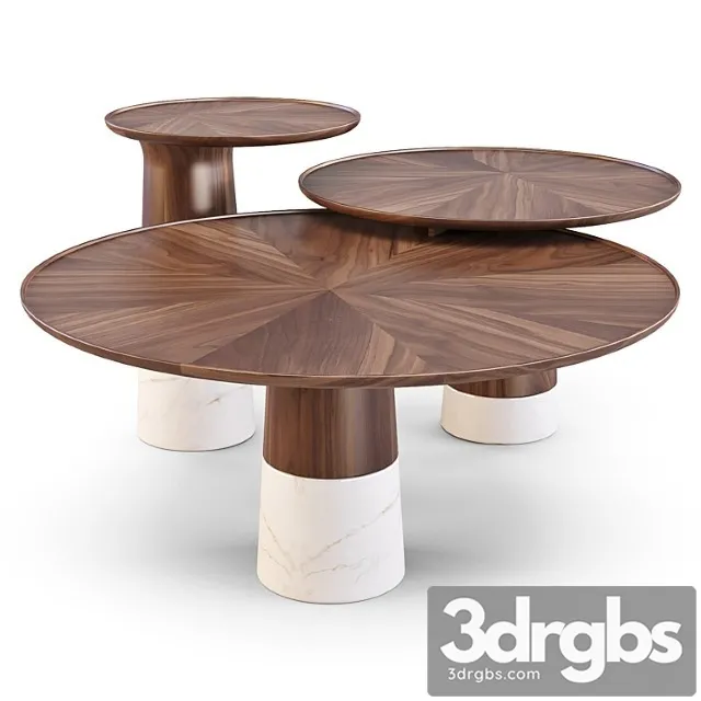 Roche Bobois Colorado Coffe And Side Tables 3dsmax Download