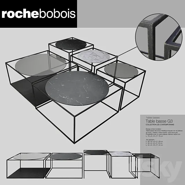 Roche-bobois tables 3DS Max Model