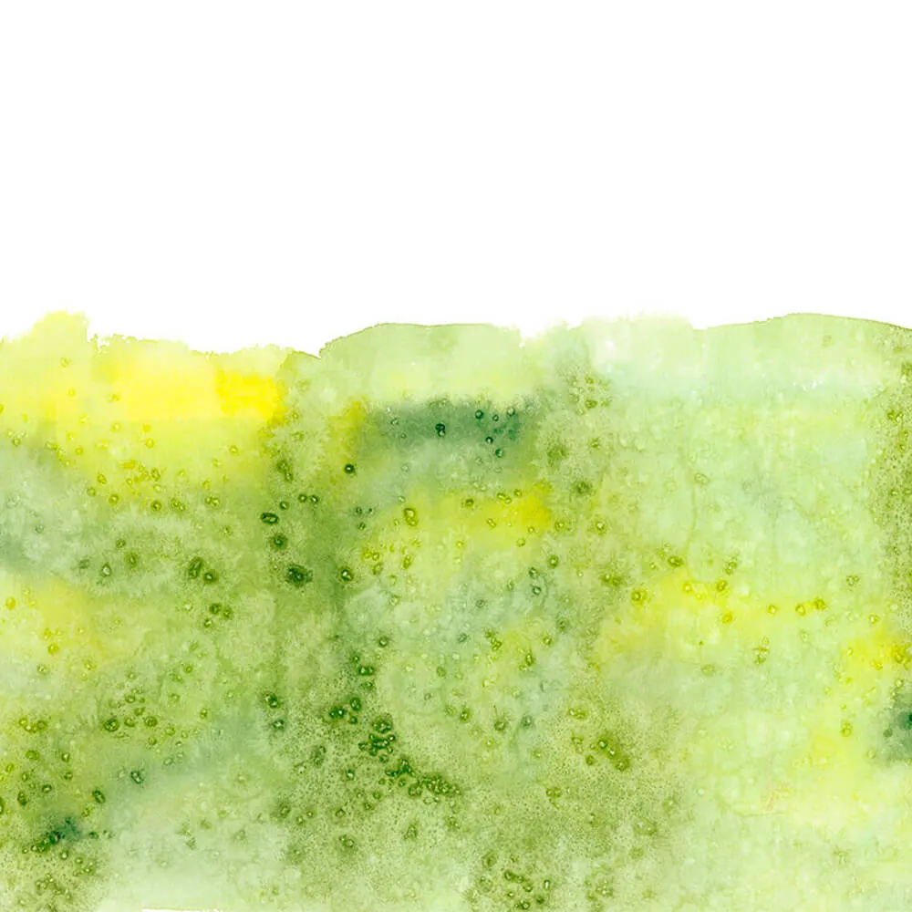 ROCK AND WALL – Wallpaper Pistachio flavor 3ds Max