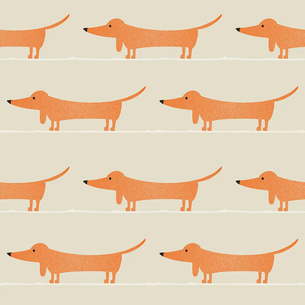 ROCK AND WALL – Wallpaper Red dachshund 3ds Max