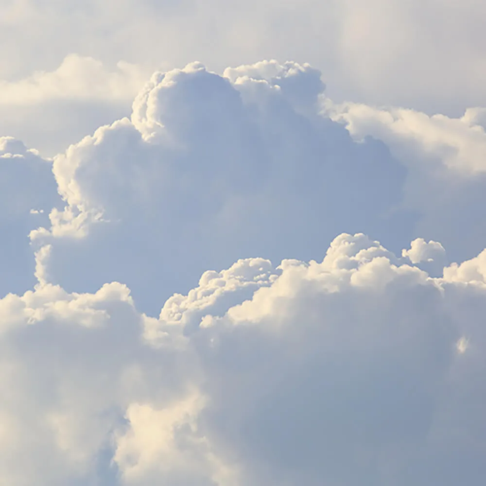 ROCK AND WALL – Wallpaper Tenderness 3ds Max