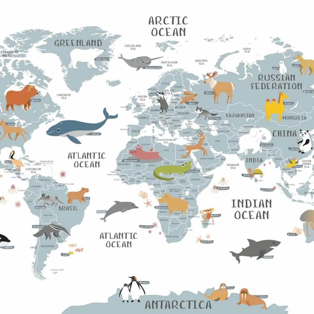 ROCK AND WALL – Wallpaper World map 3ds Max