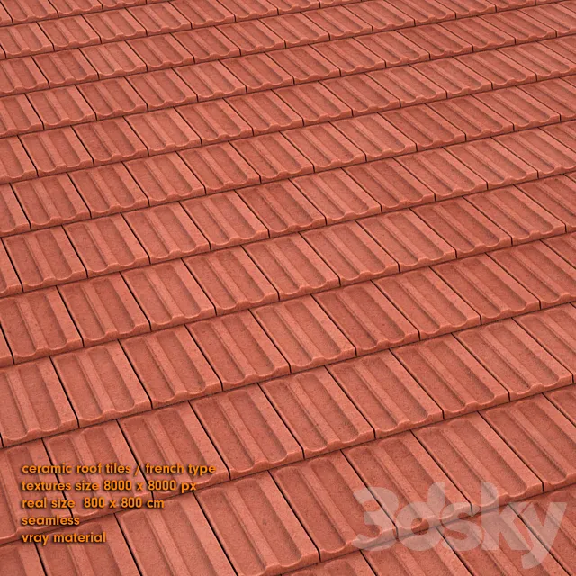 roof tiles-french 3dsMax Model