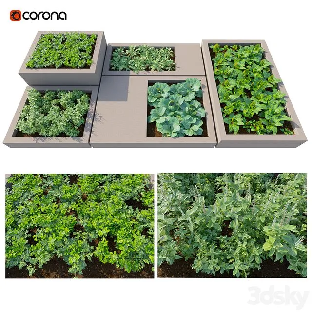 Rooftop Kitchen Garden 3dsMax Model