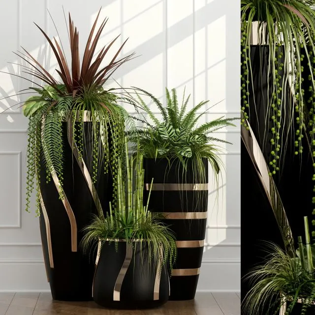 Room plants 15 3dsMax Model