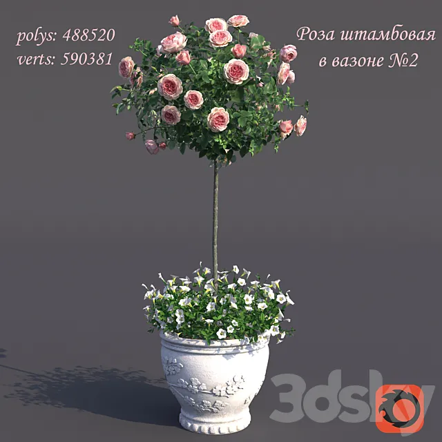 Rosa shtambovaya in a pot No. 2 3DS Max Model