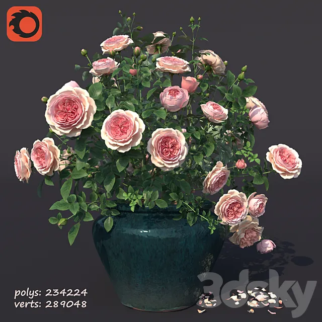 Rose bush in a flowerpot N1 3DSMax File
