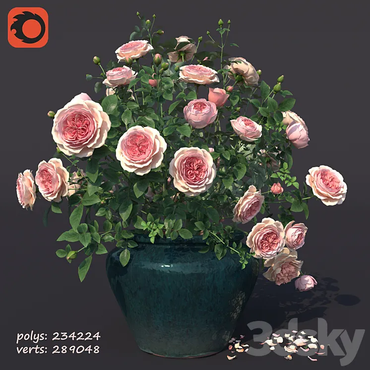Rose bush in a flowerpot N1 3DS Max Model