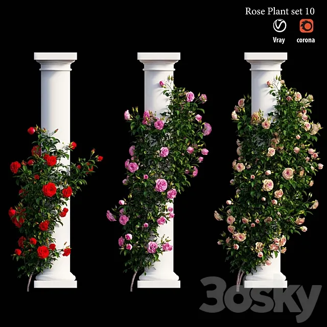 Rose plant set 10 3ds Max