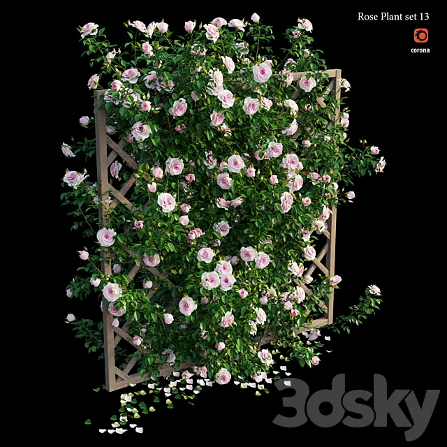 Rose plant set 13 3DS Max Model