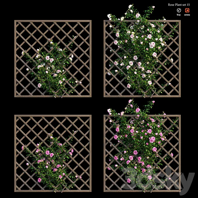 Rose plant set 15 3DS Max Model