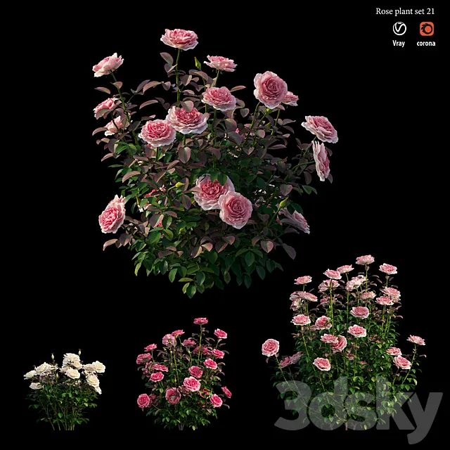 Rose plant set 21 3DS Max Model