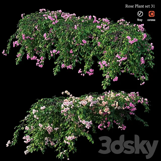 Rose plant set 31 3ds Max