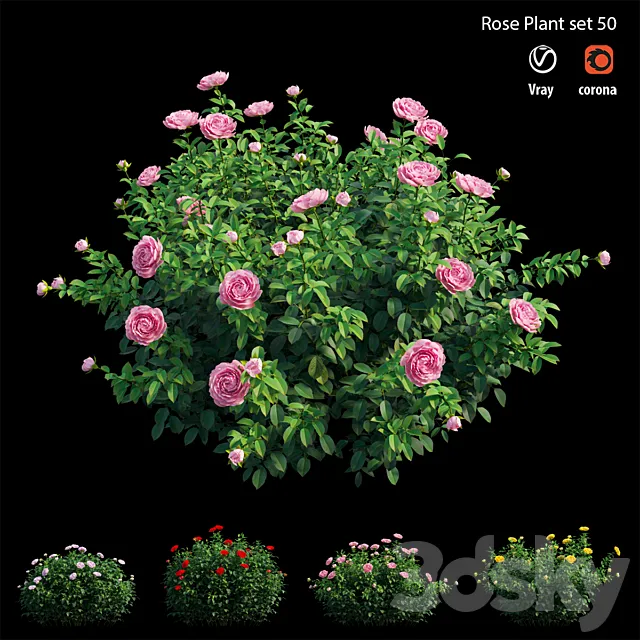 Rose plant set 50 3ds Max