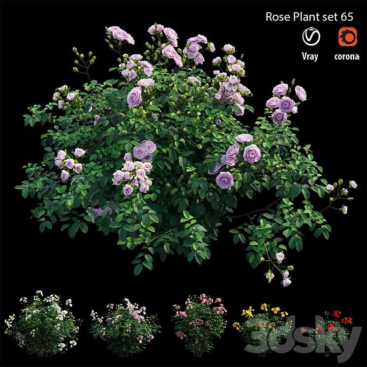 Rose plant set 65 3DS Max