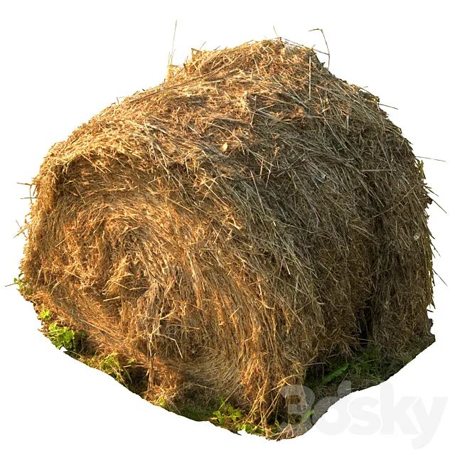 Round bale of hay 3DS Max Model