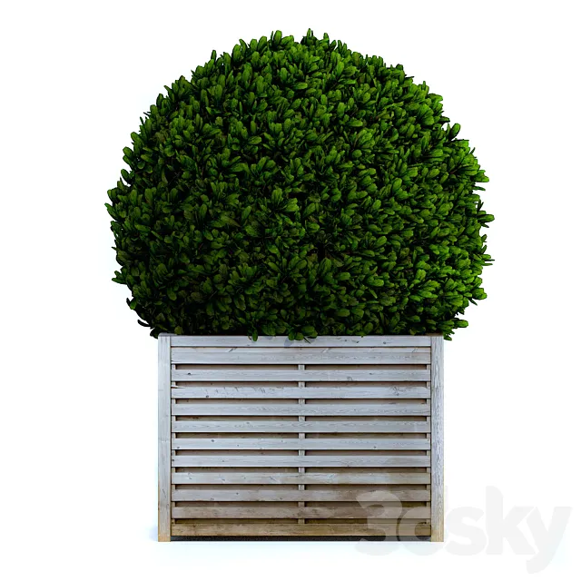 Round bush 3ds Max