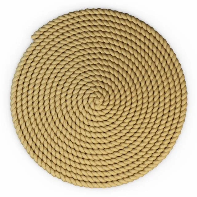 Round rug 3dsMax Model