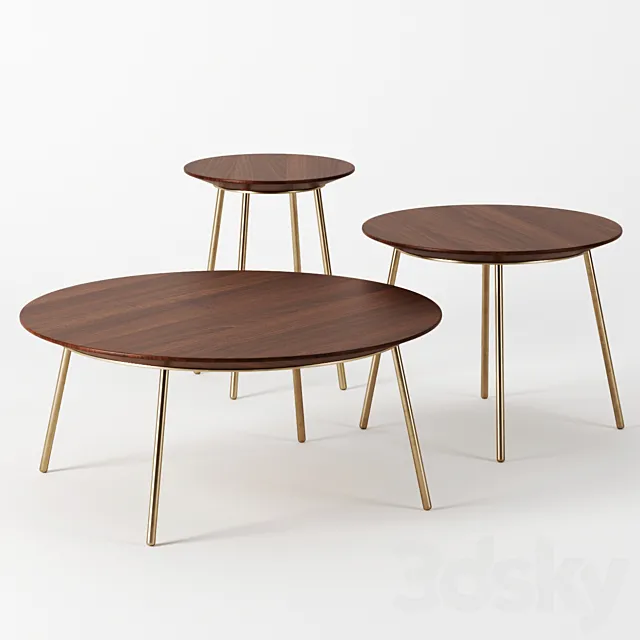 Round tables by ZARA Home 3DS Max Model