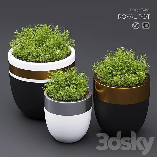 royal_pot 3ds Max