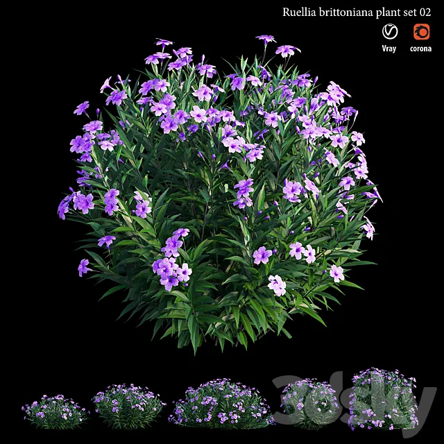 Ruellia brittoniana plant set 02 3ds Max