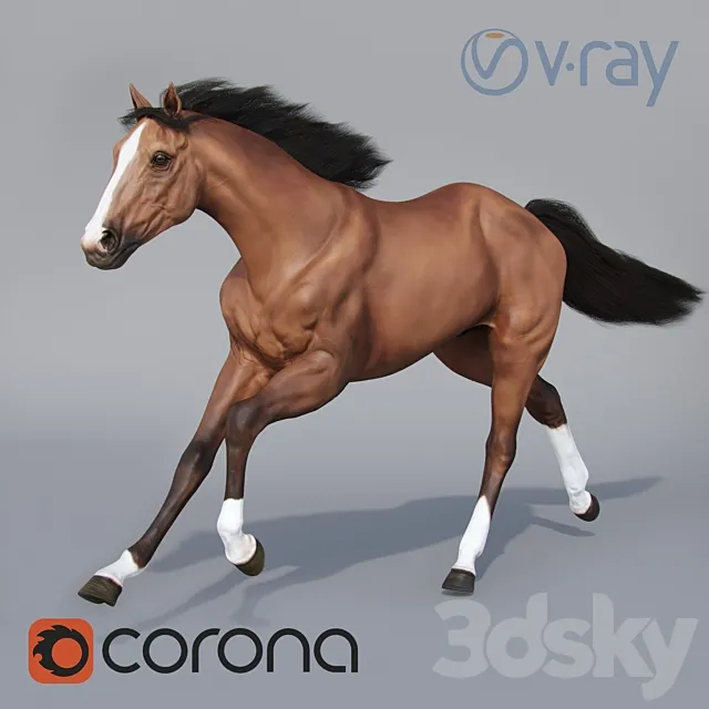 Running horse 02 3DS Max Model