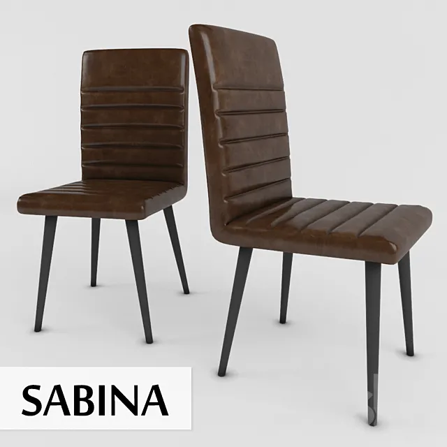 Sabina Retro 3DS Max Model