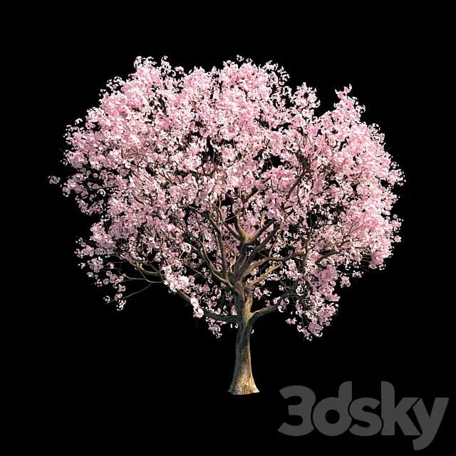 Sakura 8 3ds Max