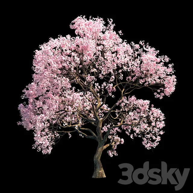 Sakura 9 3DS Max Model