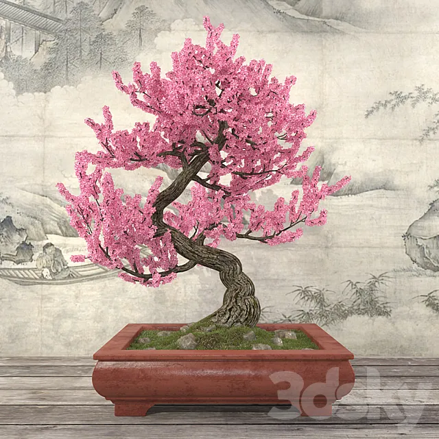 Sakura Bonsai 3ds Max