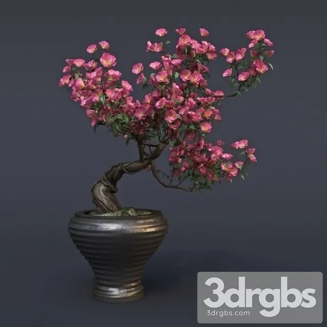 Sakura Bouquet 3dsmax Download