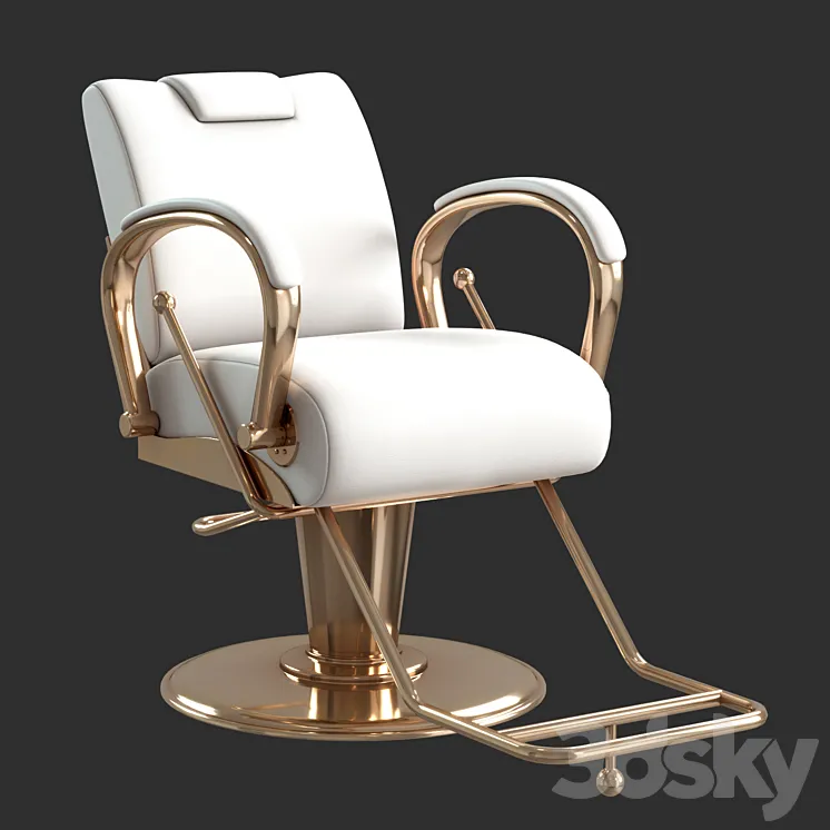 salon chair 3DS Max Model
