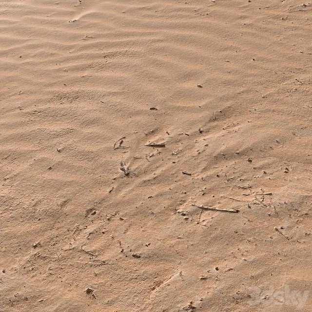 Sand Beach 07 3dsMax Model