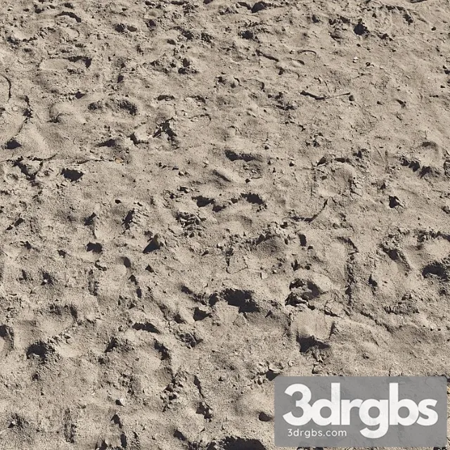 Sand beach 5 3dsmax Download