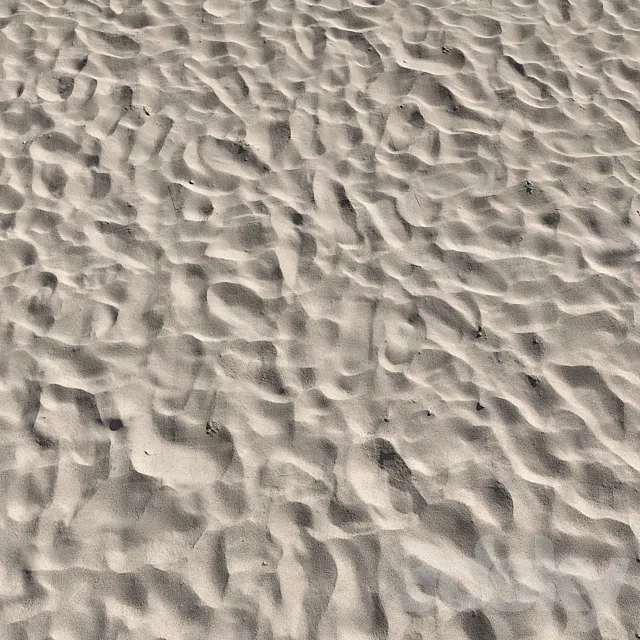 Sand beach_3 3DS Max Model