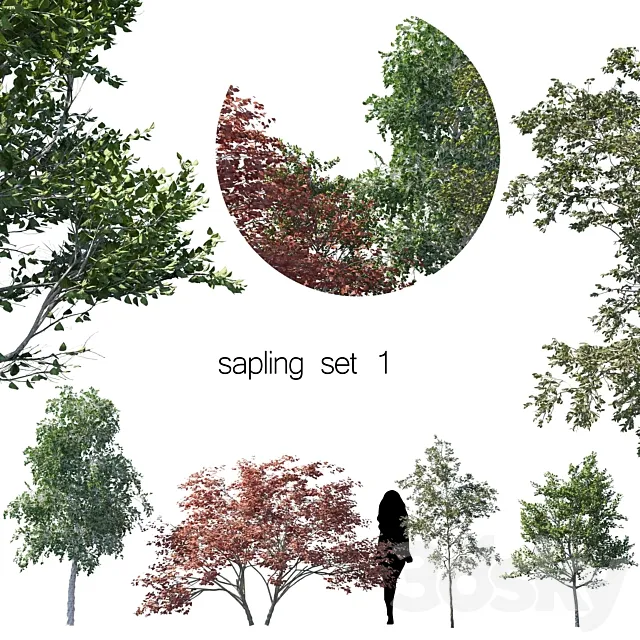 sapling set 1 3ds Max