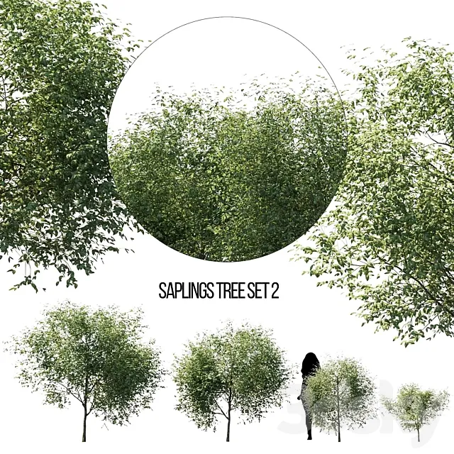 saplings tree set 2 3ds Max