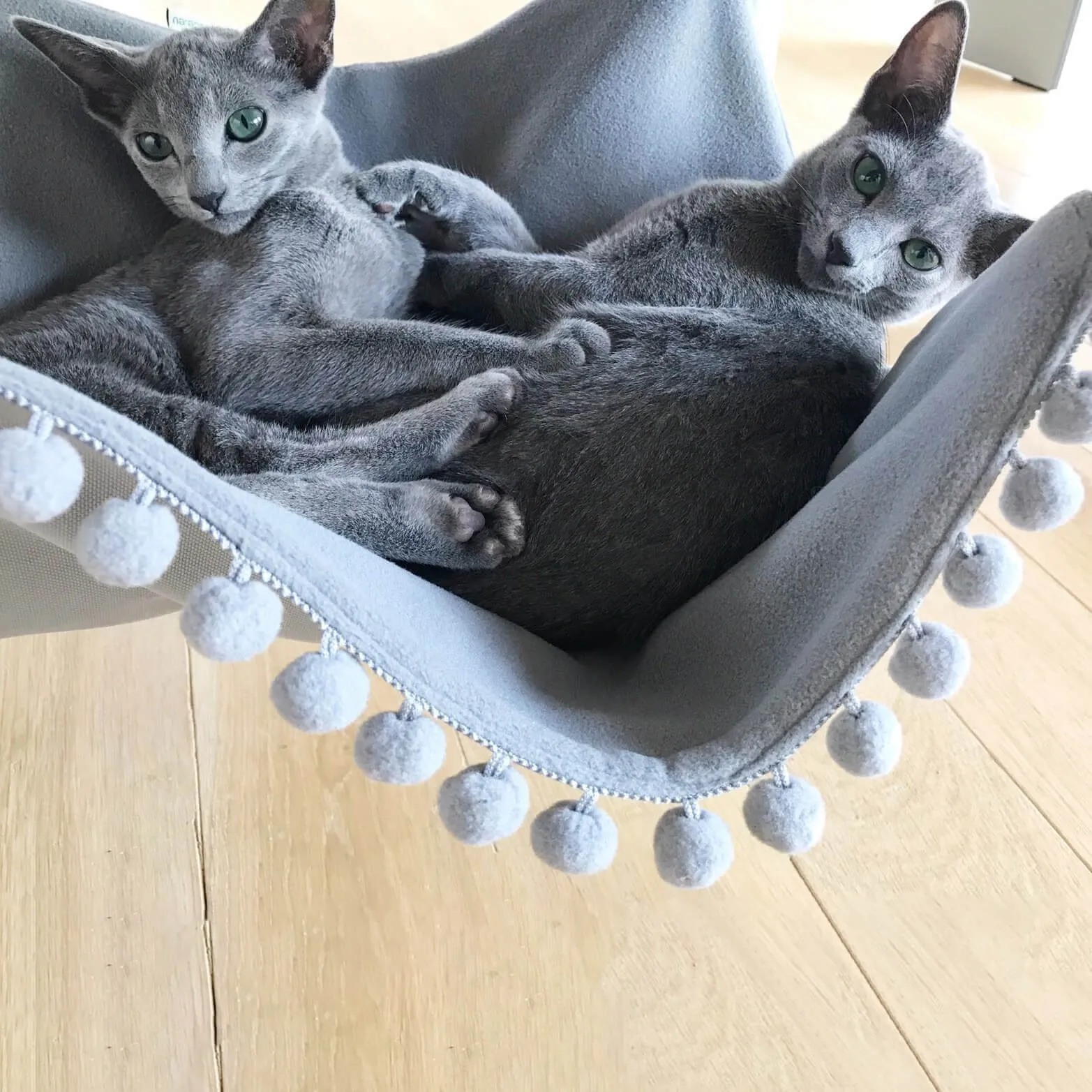 Saveplace – Saveplace 8 3ds Max