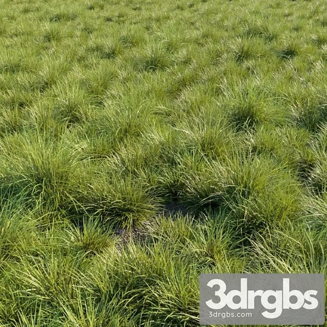 Saw Sedges Grass 3dsmax Download