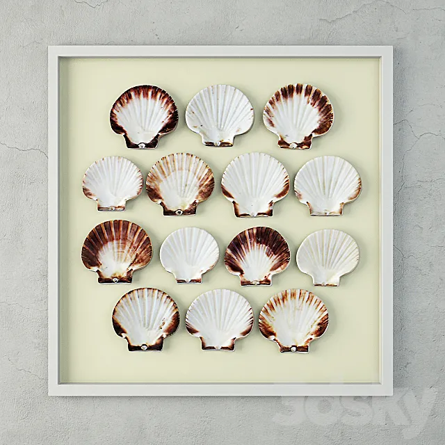 Scallop Shells 3ds Max