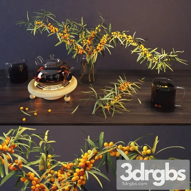 Sea Buckthorn and Kettle 3dsmax Download